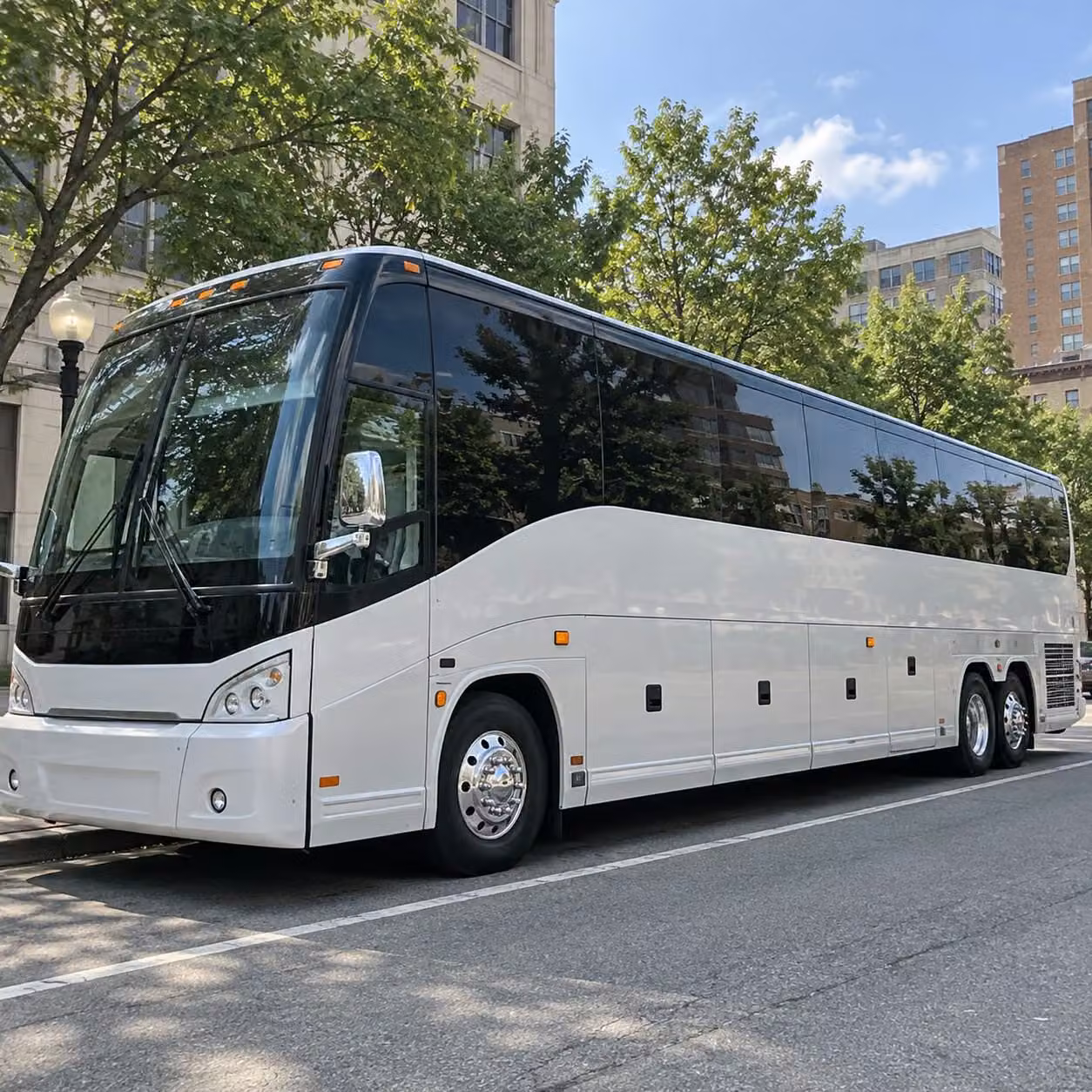 charter buses handle large palm springs prom groups with ease